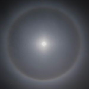 Meet your Posher, Russell